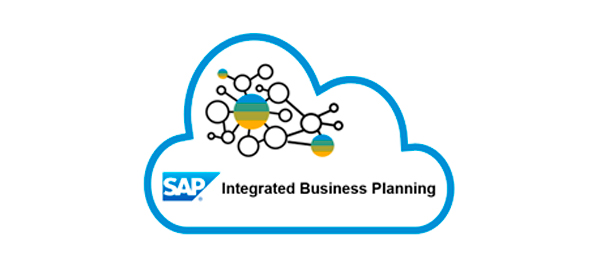 sapintegratedbusinesplaning